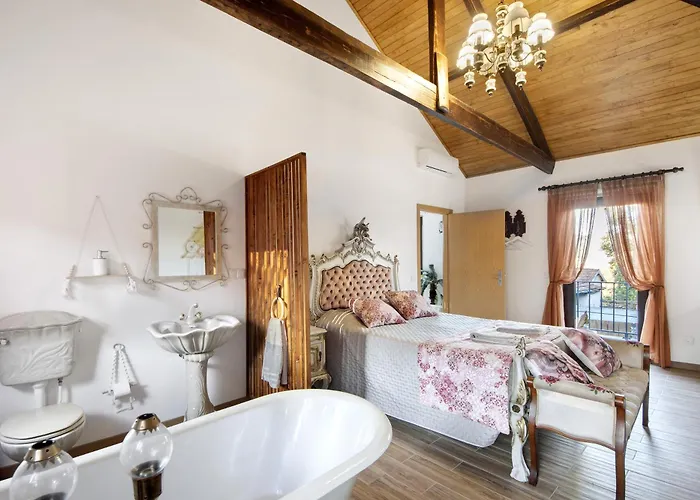 Casas Da Chica Com Piscina, Arouca